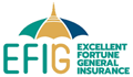 Excellent Fortune General Insurance Co., Ltd